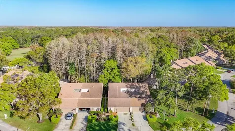 2934 Windmoor Drive S Palm Harbor FL 34685