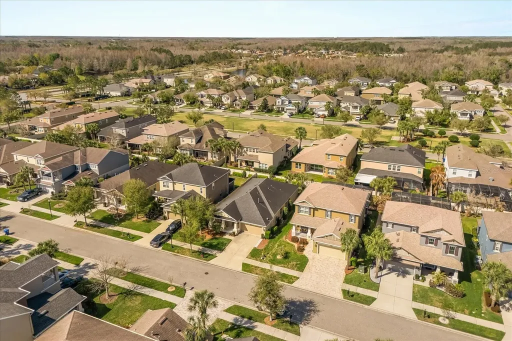 9244 Bella Vita Circle Land O Lakes FL 34637