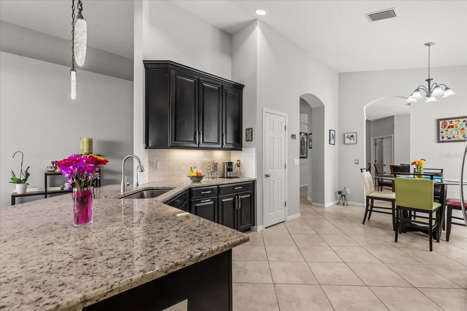 9244 Bella Vita Circle Land O Lakes FL 34637