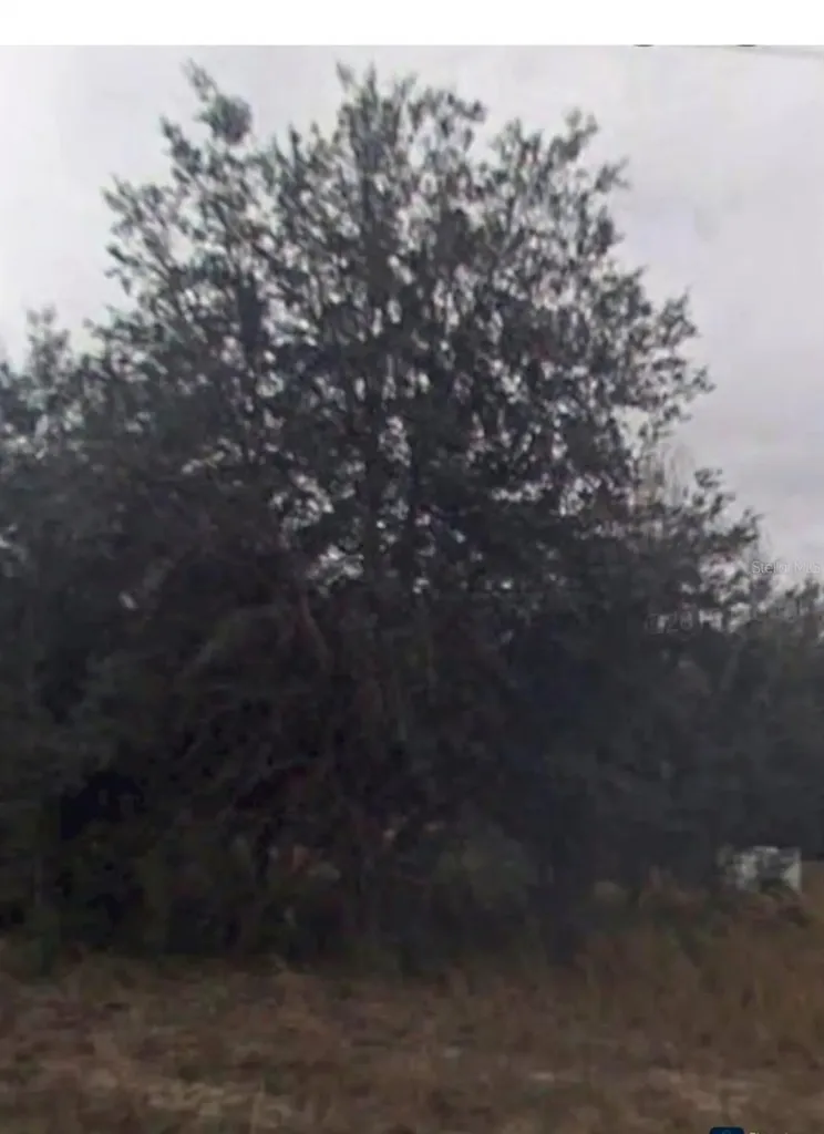 2109 Byron Street Inverness FL 34453