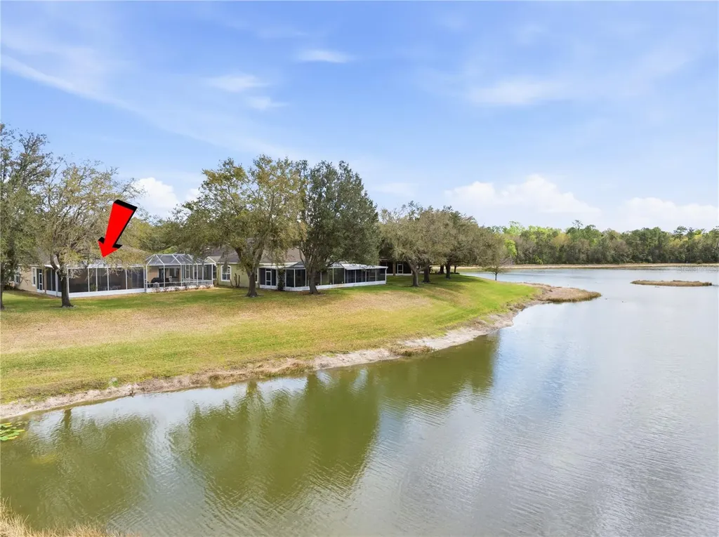 19112 White Wing Place Tampa FL 33647