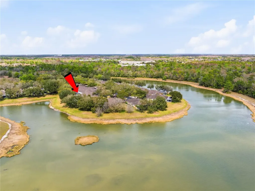 19112 White Wing Place Tampa FL 33647