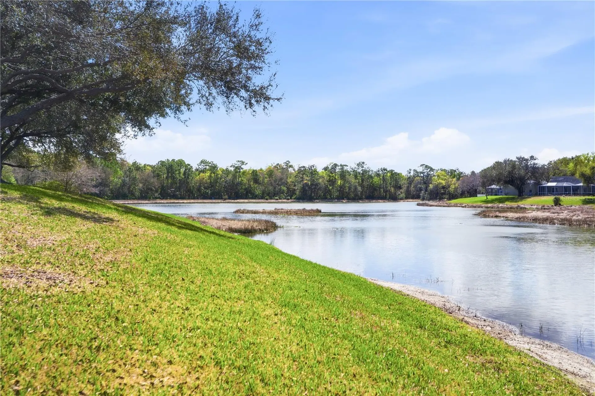 19112 White Wing Place Tampa FL 33647