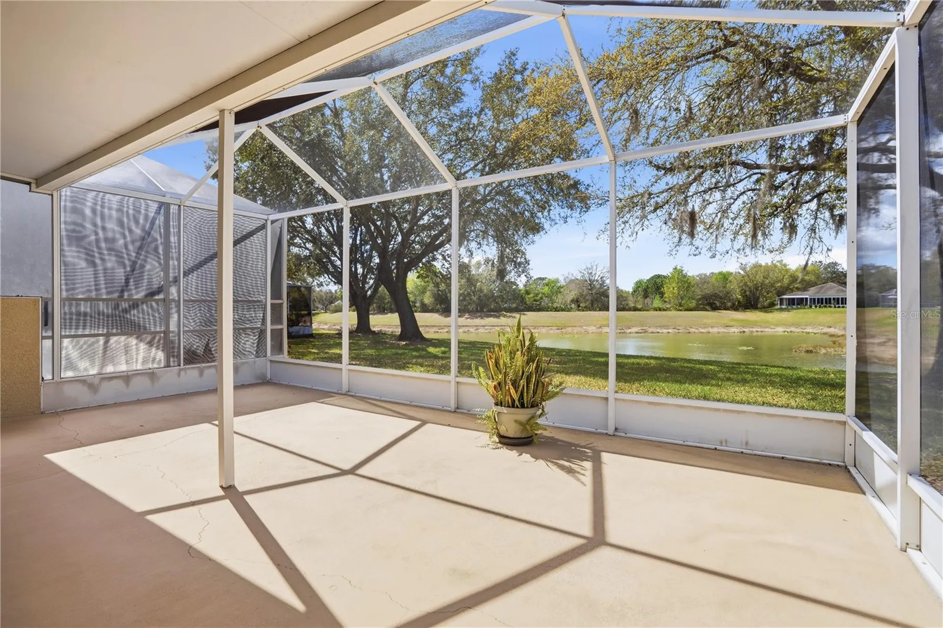 19112 White Wing Place Tampa FL 33647