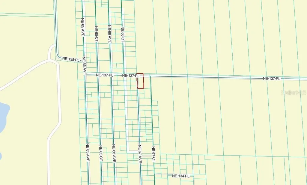 Tbd NE 137th Place Citra FL 32113