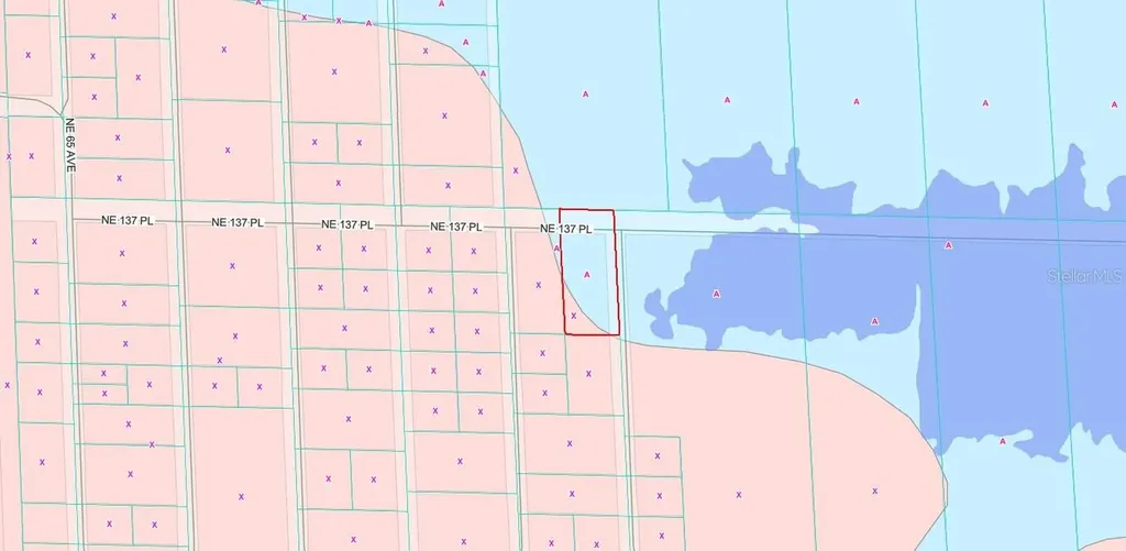 Tbd NE 137th Place Citra FL 32113