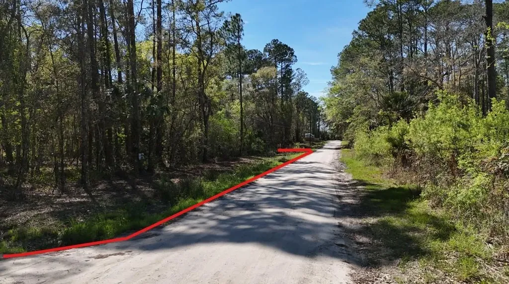 Tbd NE 137th Place Citra FL 32113