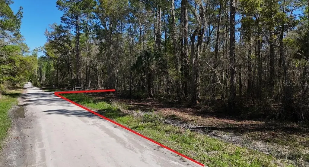 Tbd NE 137th Place Citra FL 32113