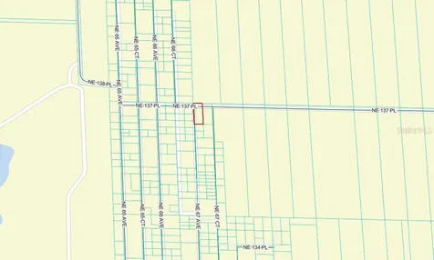Tbd NE 137th Place Citra FL 32113
