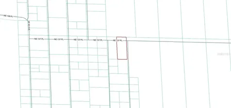 Tbd NE 137th Place Citra FL 32113