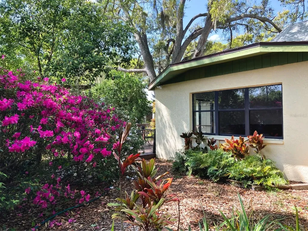 21004 Negril Court Lutz FL 33558