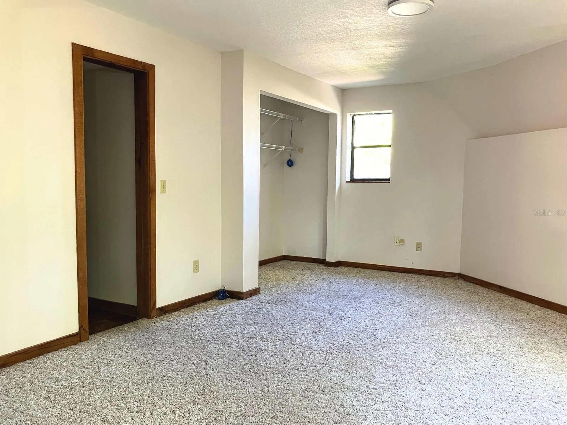 21004 Negril Court Lutz FL 33558