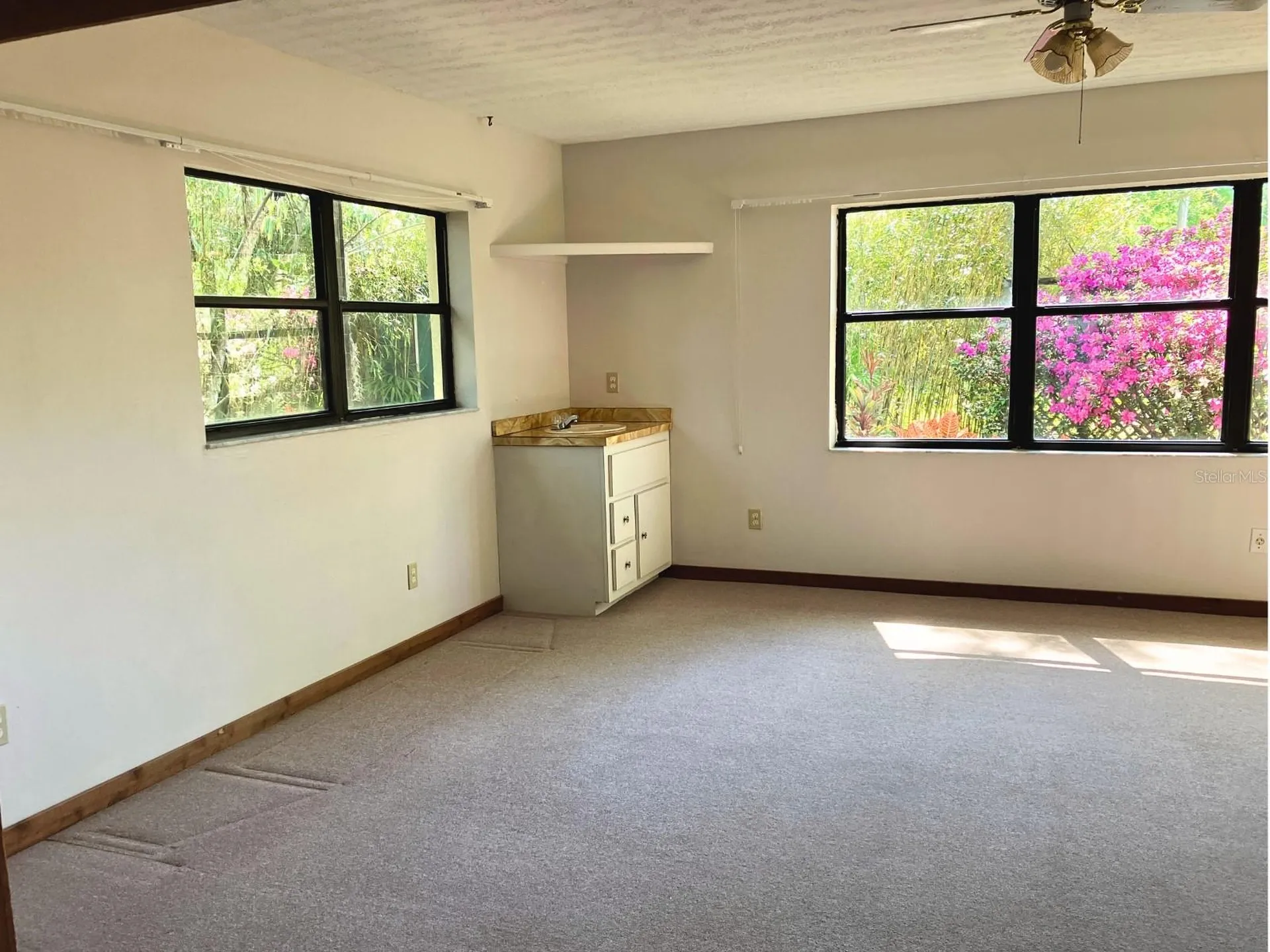 21004 Negril Court Lutz FL 33558