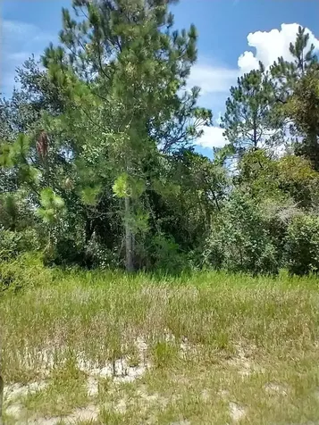 1322 Tallahassee Court Kissimmee FL 34759