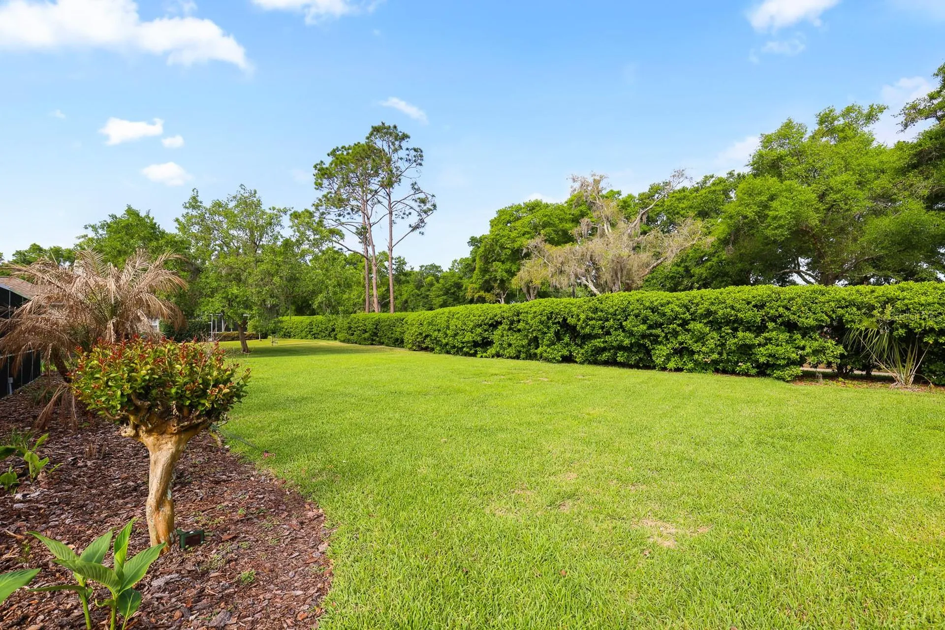 5208 Laurel Pointe Drive Valrico FL 33596