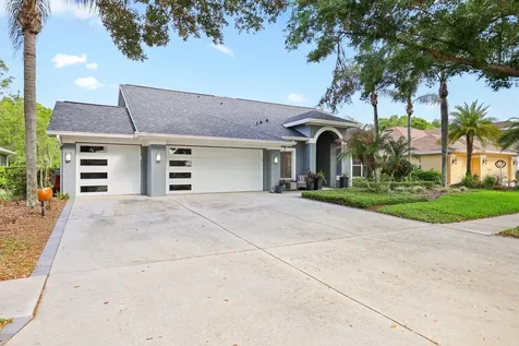 5208 Laurel Pointe Drive Valrico FL 33596