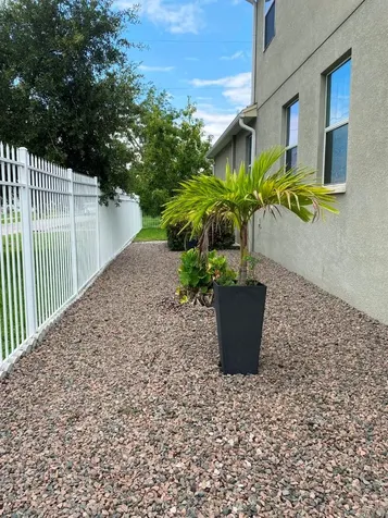 809 N Oregon Avenue Tampa FL 33606