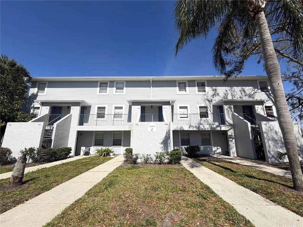 7113 E Bank Drive Tampa FL 33617