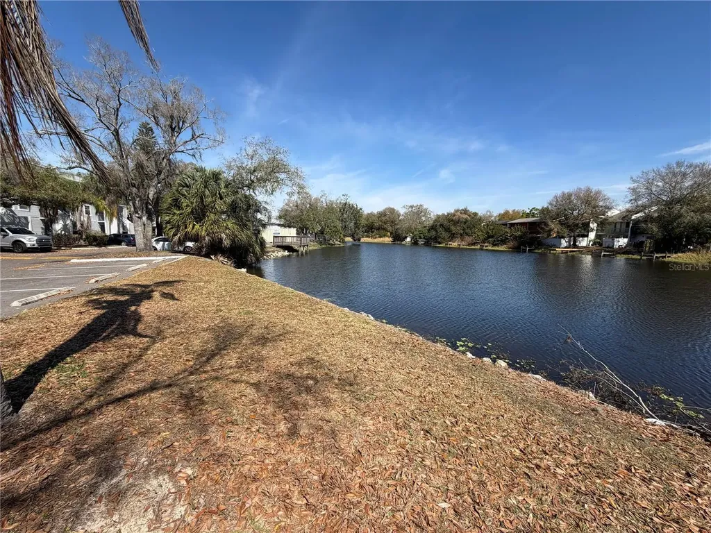 7113 E Bank Drive Tampa FL 33617