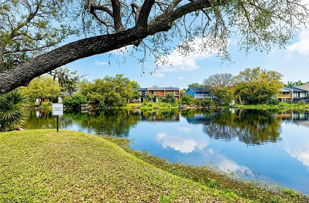 7113 E Bank Drive Tampa FL 33617