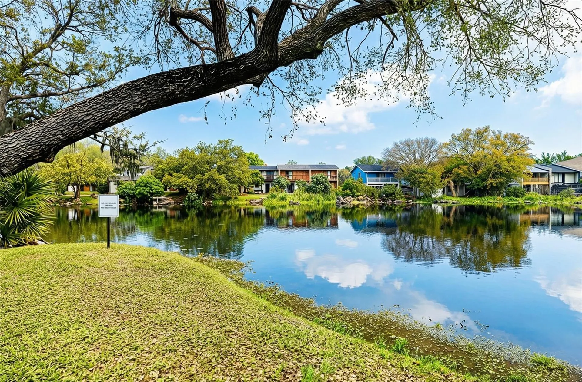 7113 E Bank Drive Tampa FL 33617