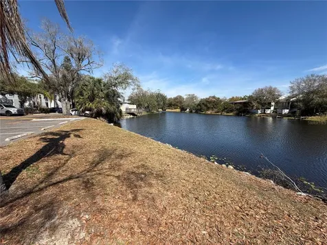 7113 E Bank Drive Tampa FL 33617