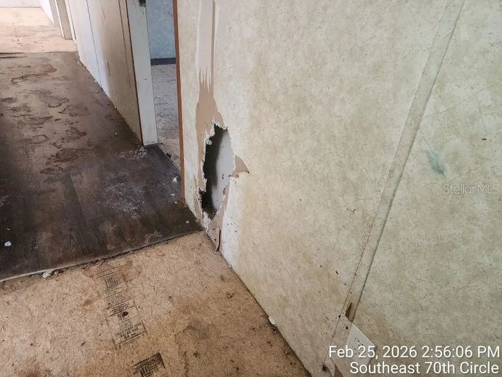 213 SE 70th Circle Ocala FL 34472