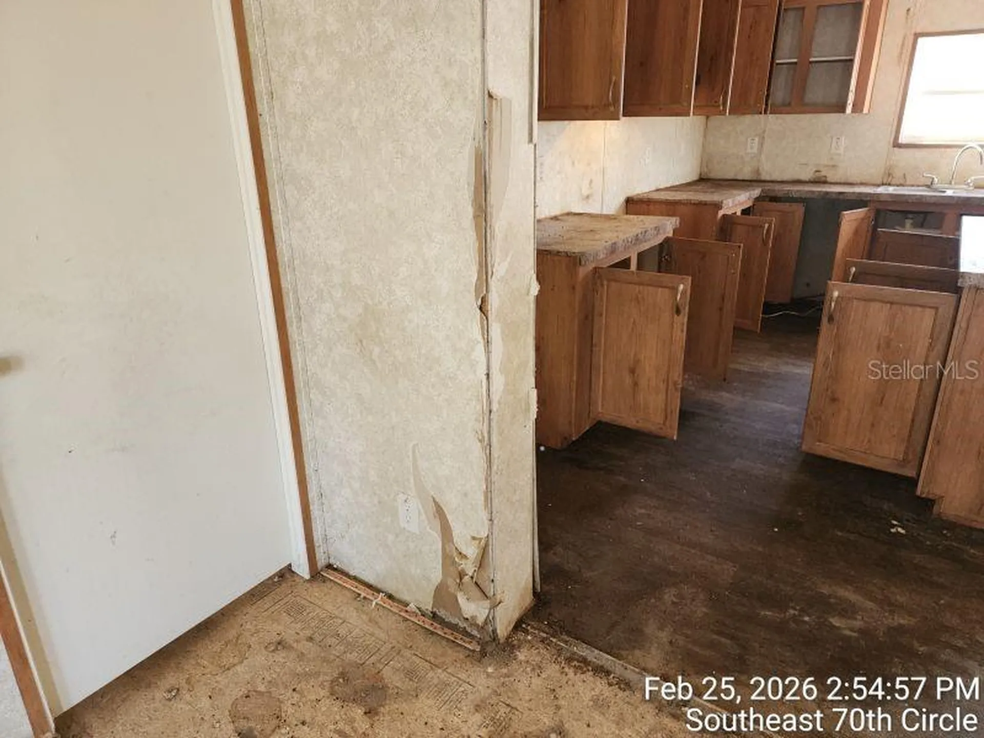 213 SE 70th Circle Ocala FL 34472