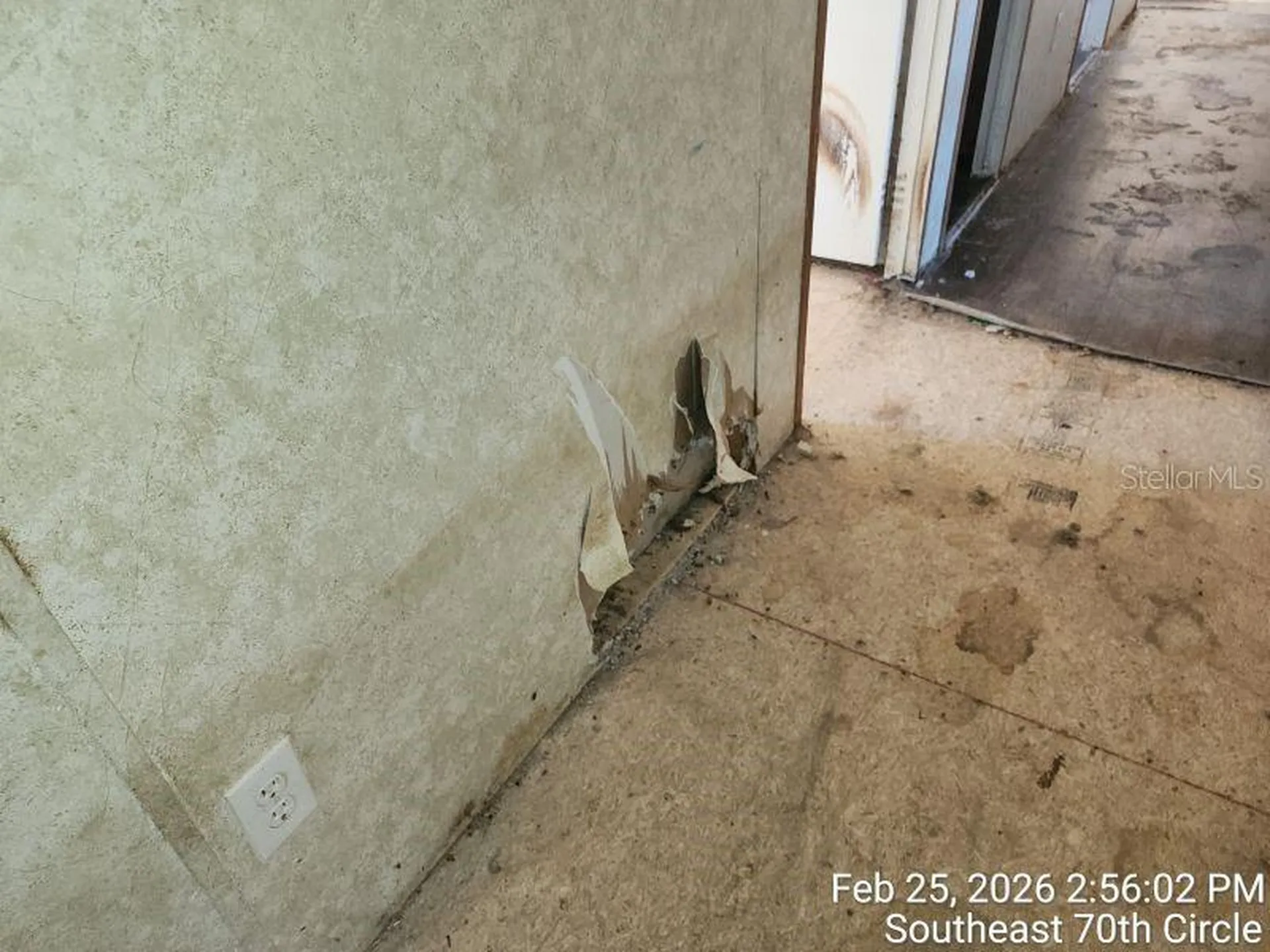 213 SE 70th Circle Ocala FL 34472