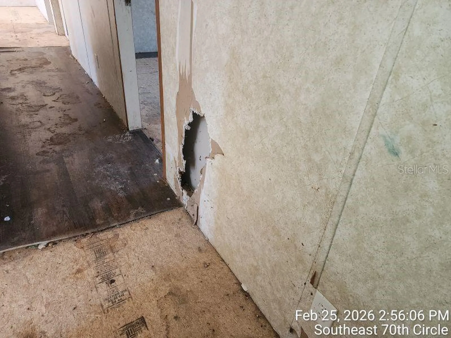 213 SE 70th Circle Ocala FL 34472
