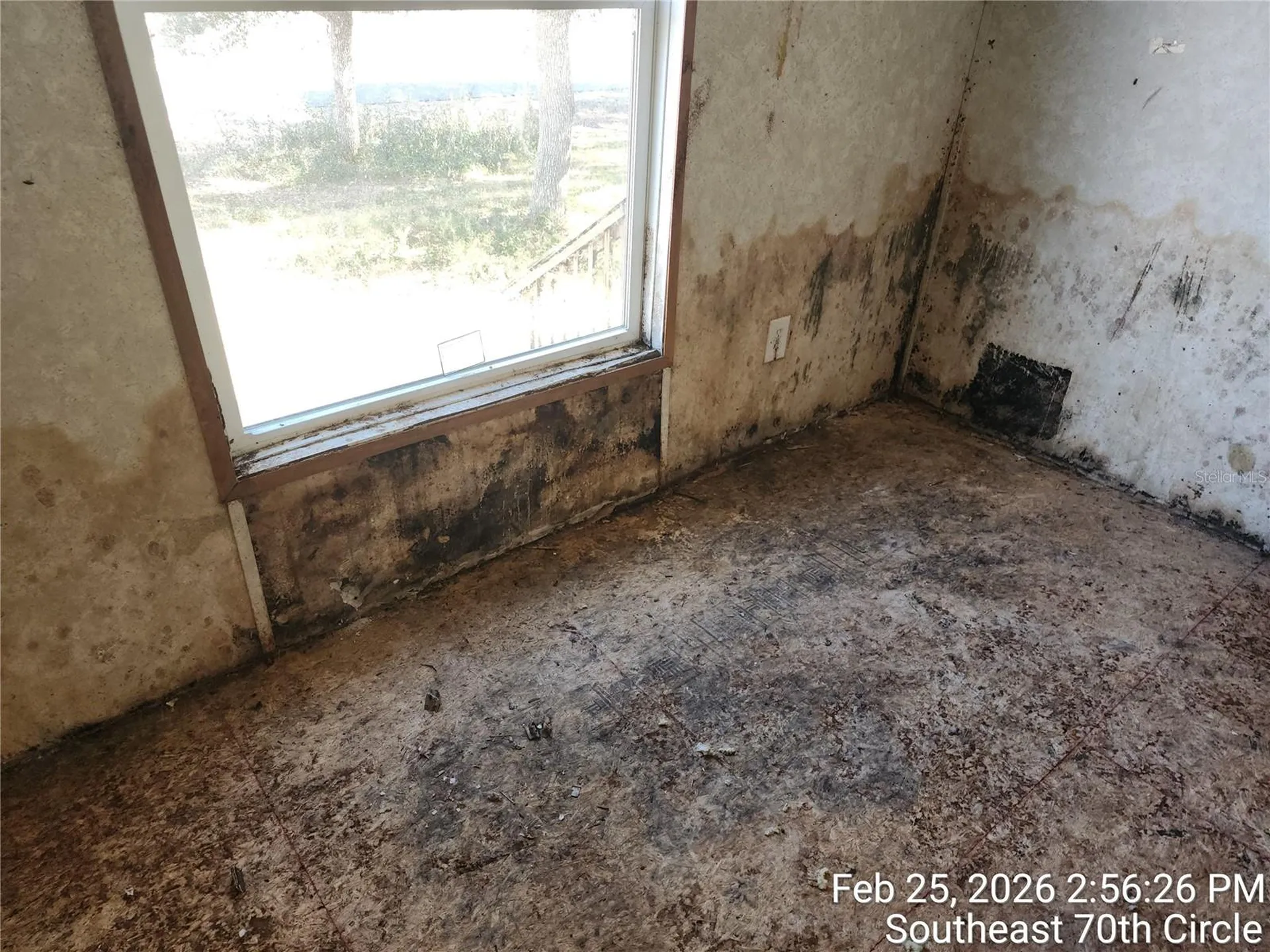 213 SE 70th Circle Ocala FL 34472