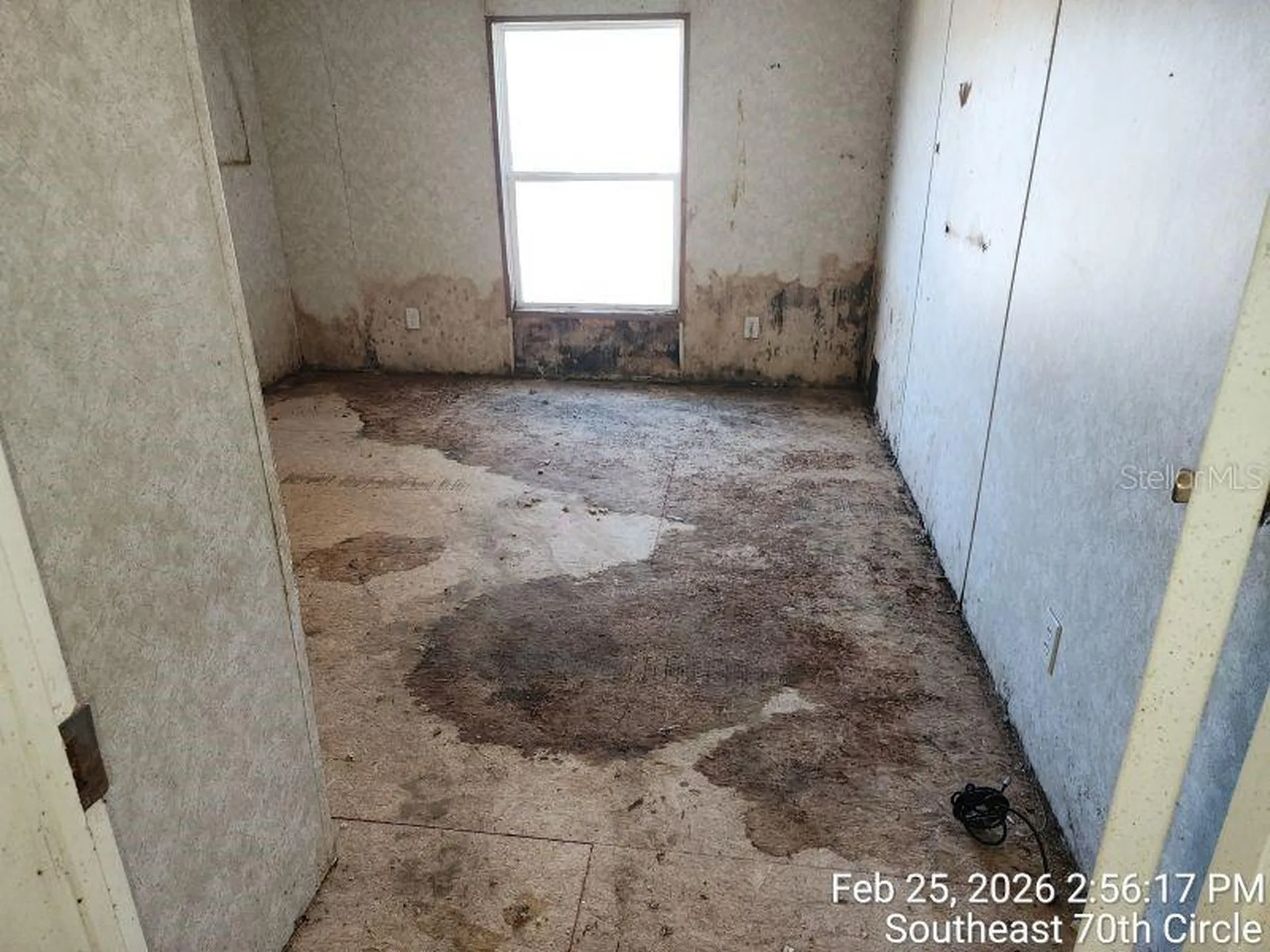 213 SE 70th Circle Ocala FL 34472