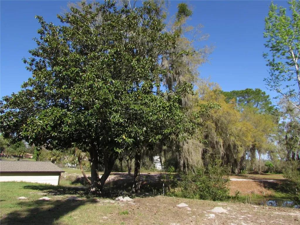 11931 N Bearl Terrace Dunnellon FL 34433