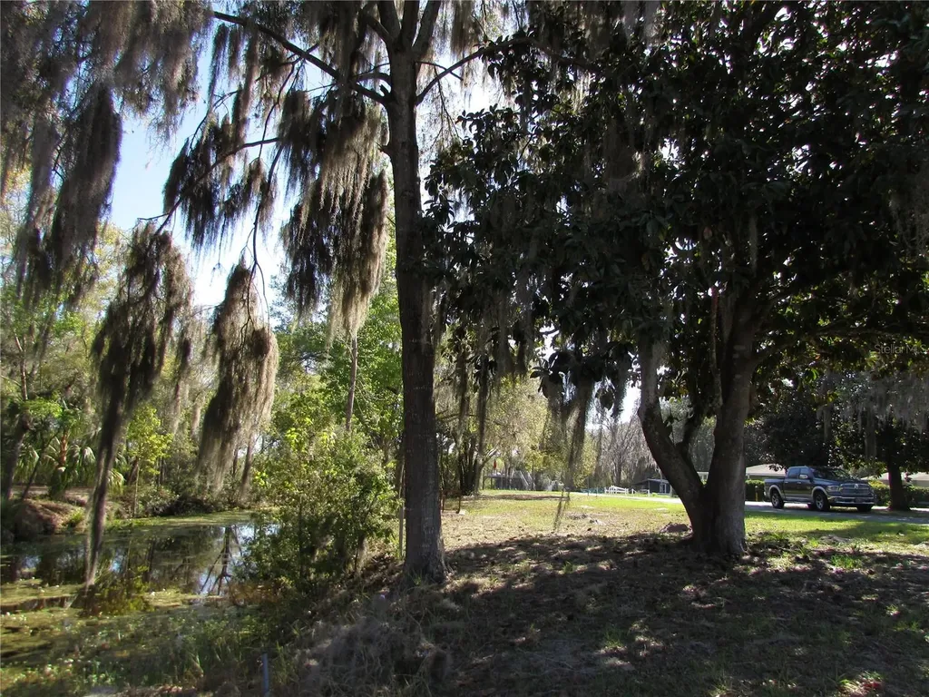 11931 N Bearl Terrace Dunnellon FL 34433