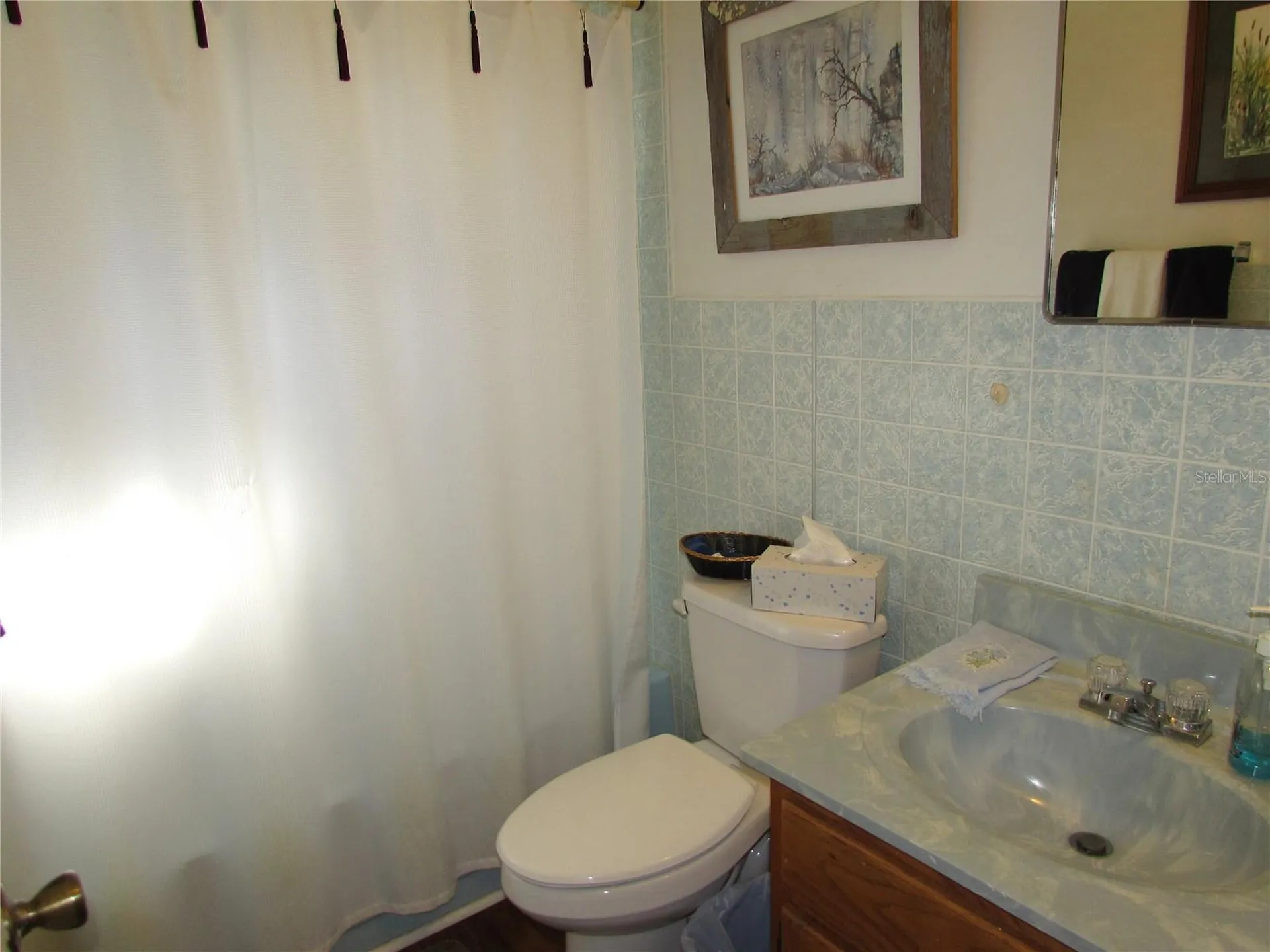 11931 N Bearl Terrace Dunnellon FL 34433