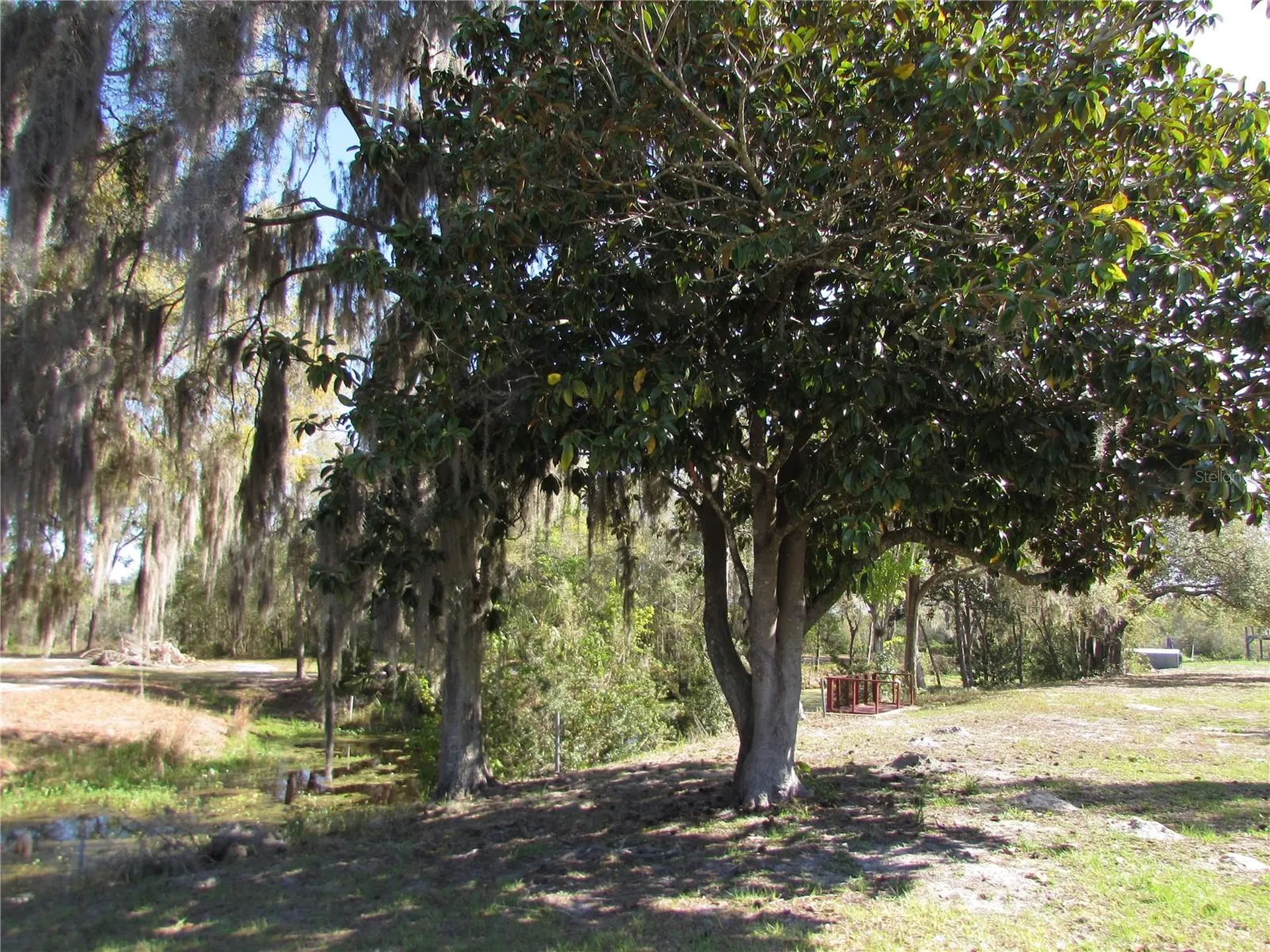 11931 N Bearl Terrace Dunnellon FL 34433