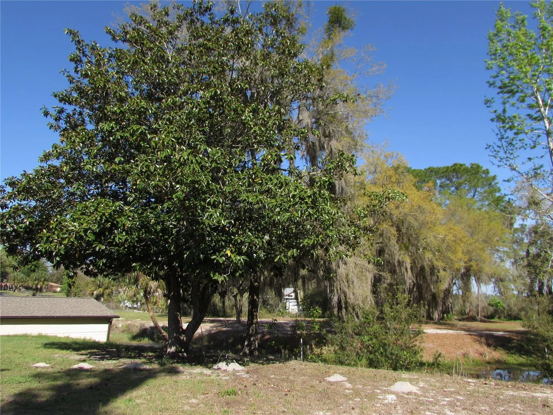 11931 N Bearl Terrace Dunnellon FL 34433