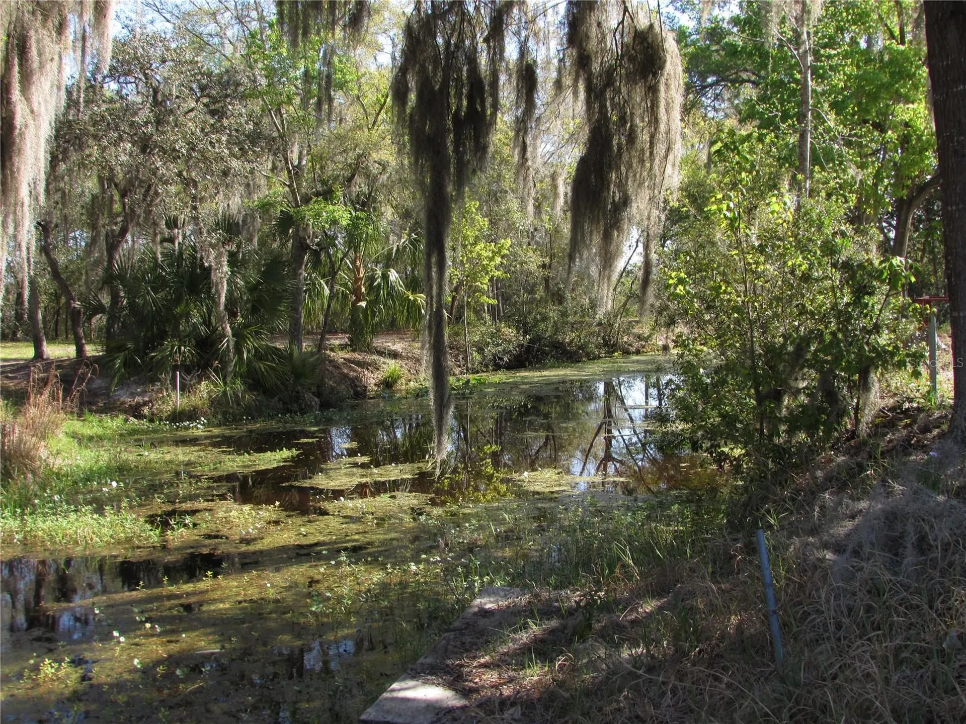 11931 N Bearl Terrace Dunnellon FL 34433