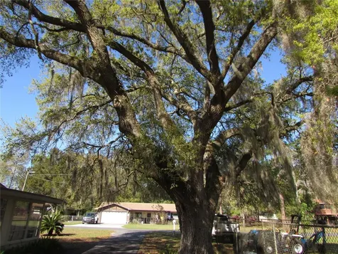 11931 N Bearl Terrace Dunnellon FL 34433