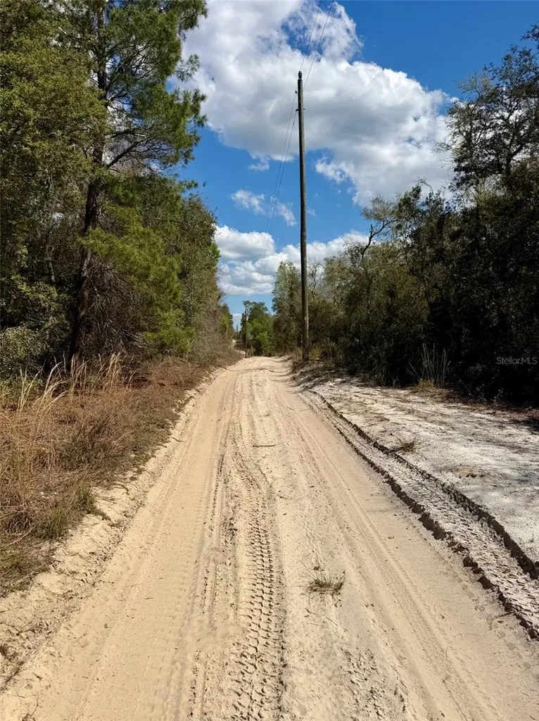 15575 NE 234th Place Fort Mc Coy FL 32134