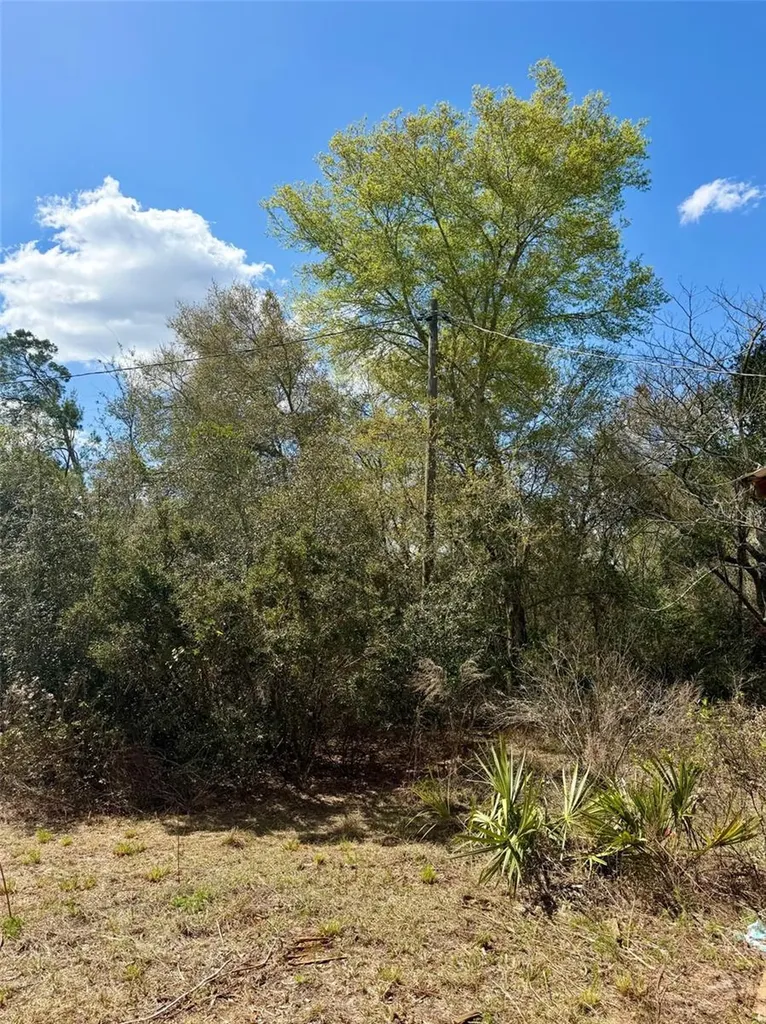 15575 NE 234th Place Fort Mc Coy FL 32134