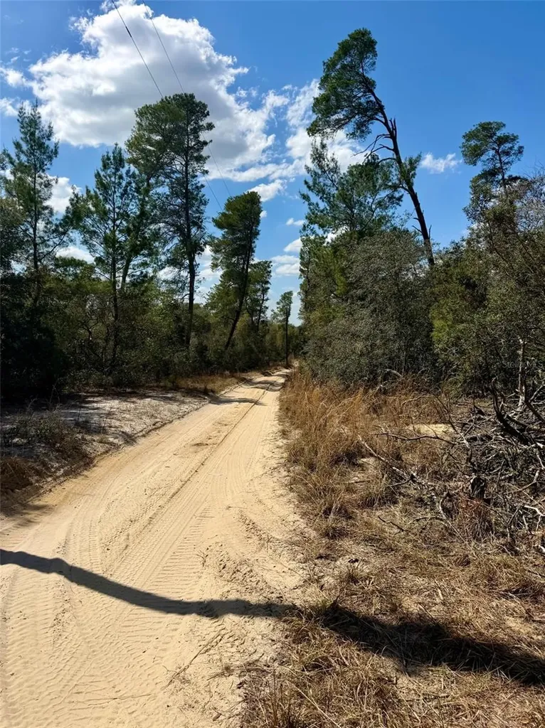 15575 NE 234th Place Fort Mc Coy FL 32134