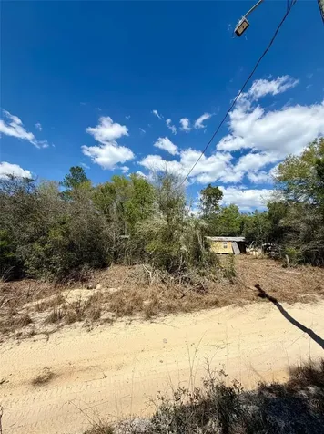 15575 NE 234th Place Fort Mc Coy FL 32134