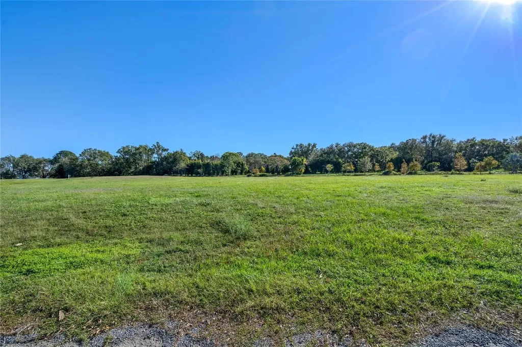 10948 Down Park Lane Windermere FL 34786