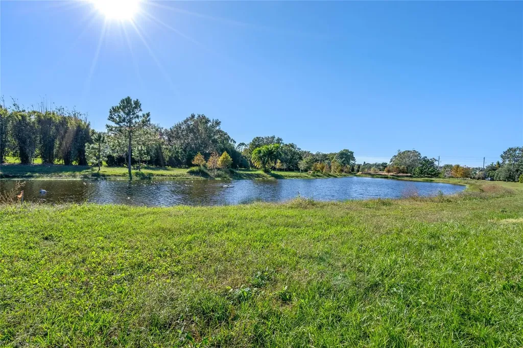 10948 Down Park Lane Windermere FL 34786