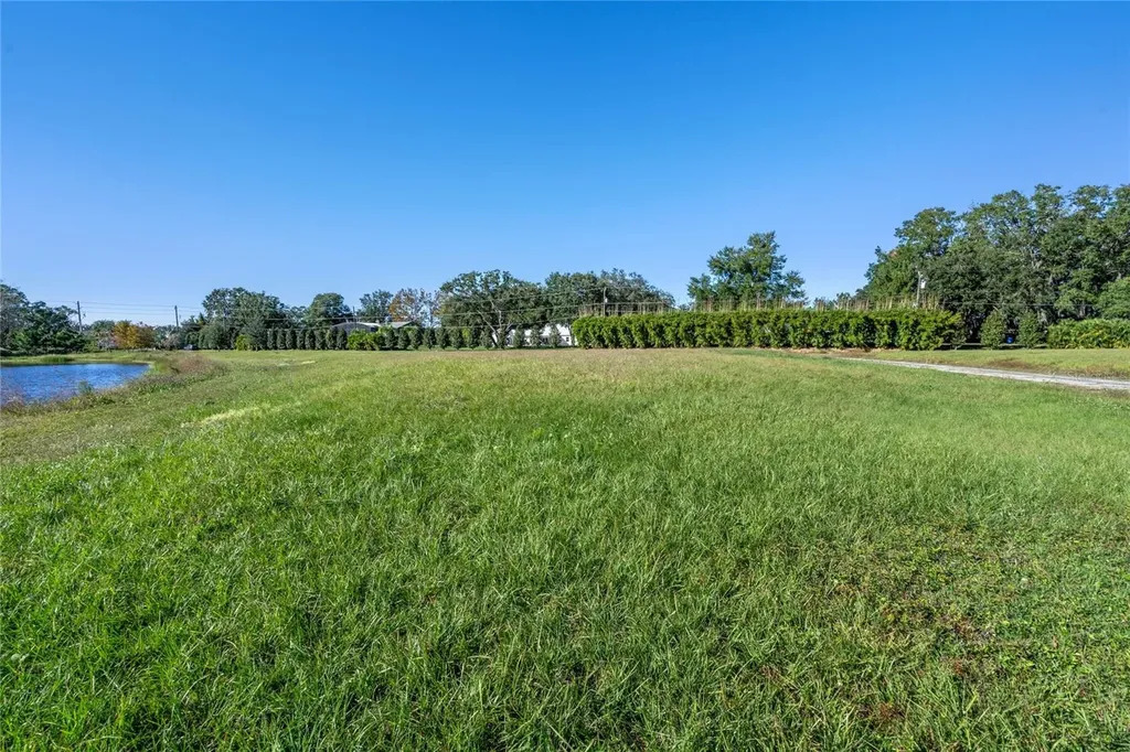 10948 Down Park Lane Windermere FL 34786
