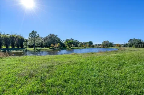 10948 Down Park Lane Windermere FL 34786
