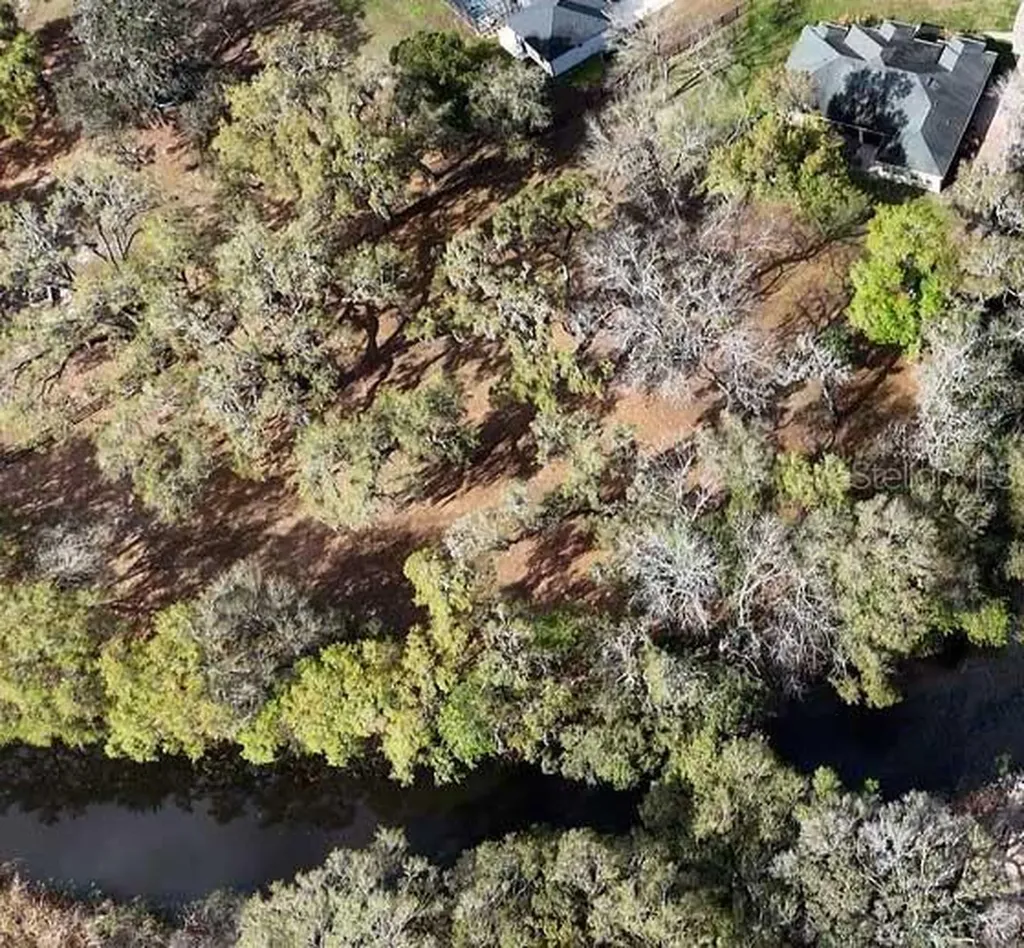 15950 Splendid Oaks Lane Tavares FL 32778