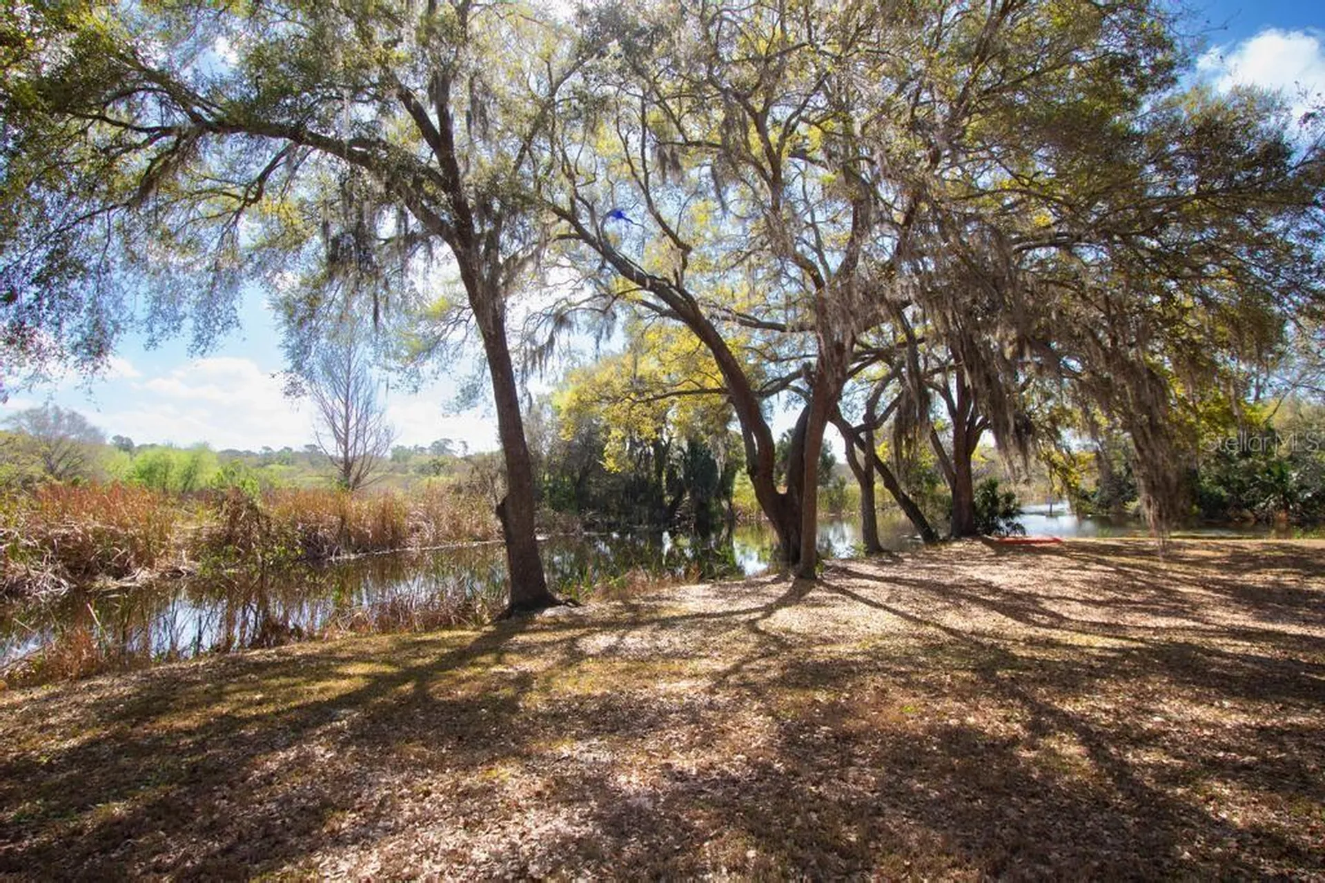 15950 Splendid Oaks Lane Tavares FL 32778