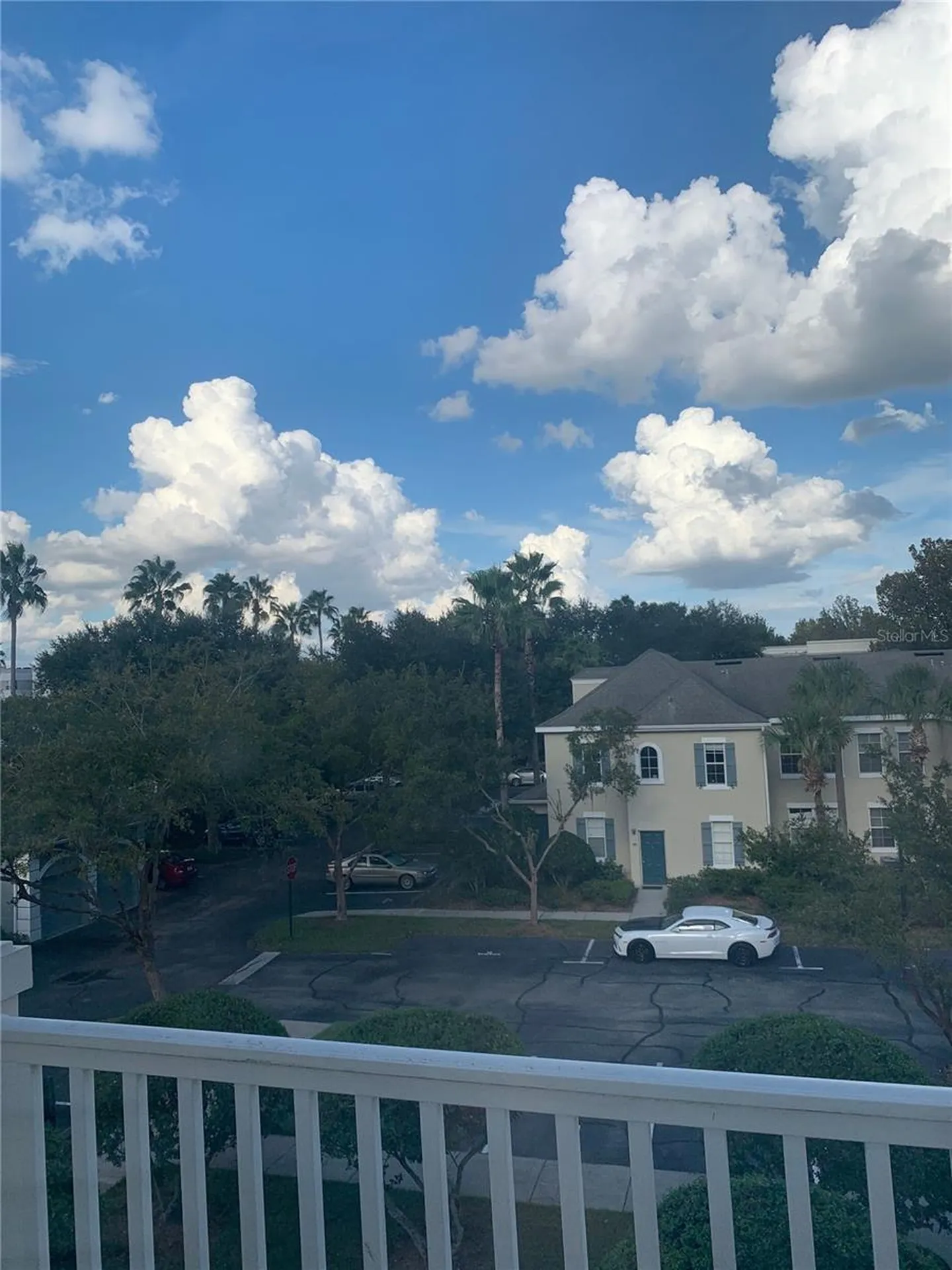 770 Siena Palm Drive Celebration FL 34747